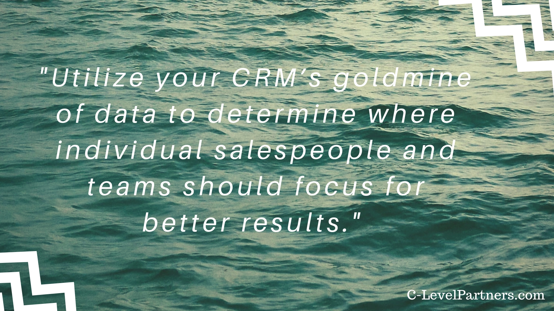C-Level Partners recommends utilizing your CRM’s goldmine of data to determine where individual salespeople and teams should focus for better results.