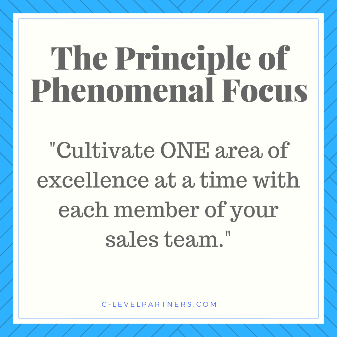 C-Level Partners recommends cultivating one area of excellence at a time with each member of your sales team.